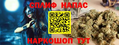 МДПВ Волгодонск
