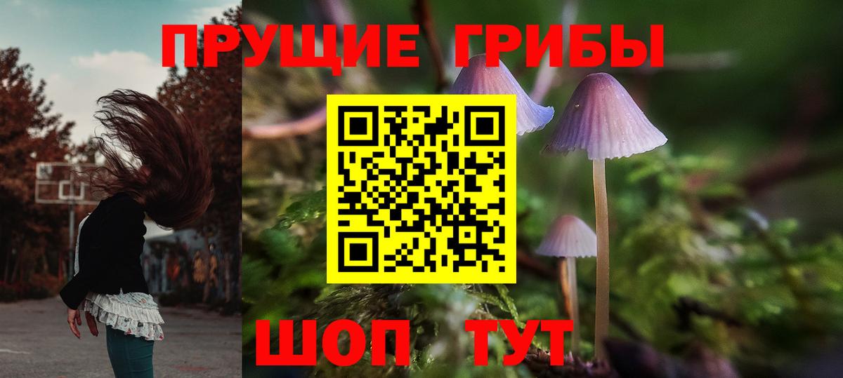 Можайск  Галлюциногенные грибы прущие грибы  Вход с VPN 